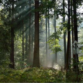 Anti-Stress-Nachmittag 17.10.16, 17:30-20:00